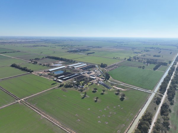 Drone - Dairy factory farm