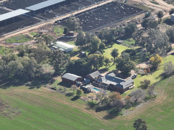 Drone - Dairy factory farm