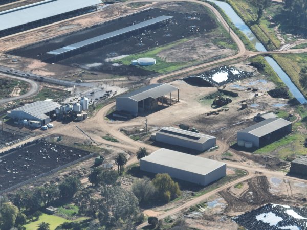 Drone - Dairy factory farm