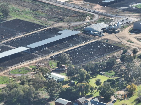 Drone - Dairy factory farm