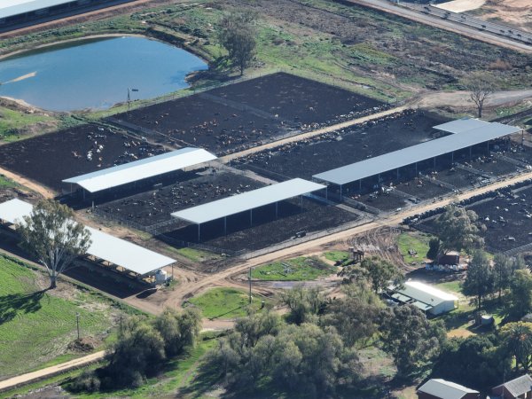 Drone - Dairy factory farm