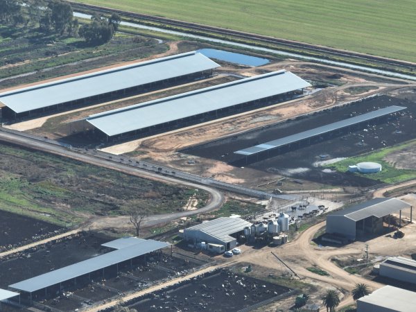 Drone - Dairy factory farm