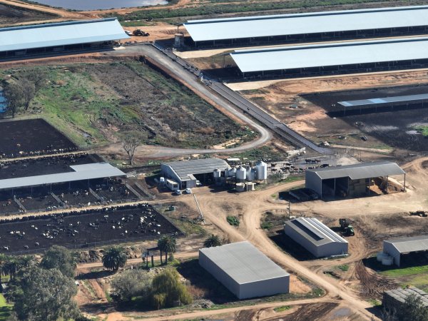 Drone - Dairy factory farm