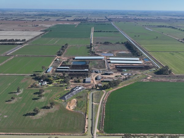 Drone - Dairy factory farm