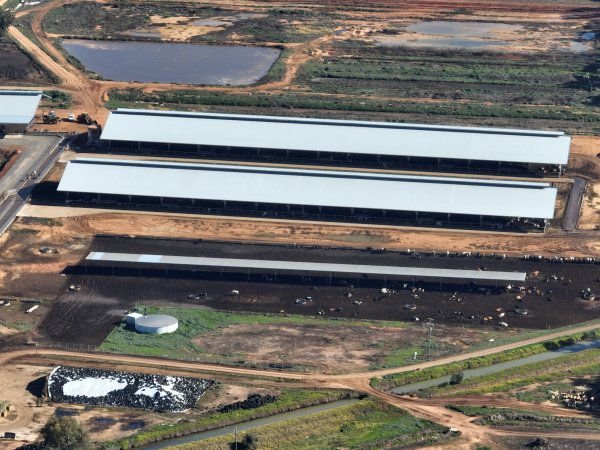 Drone - Dairy factory farm