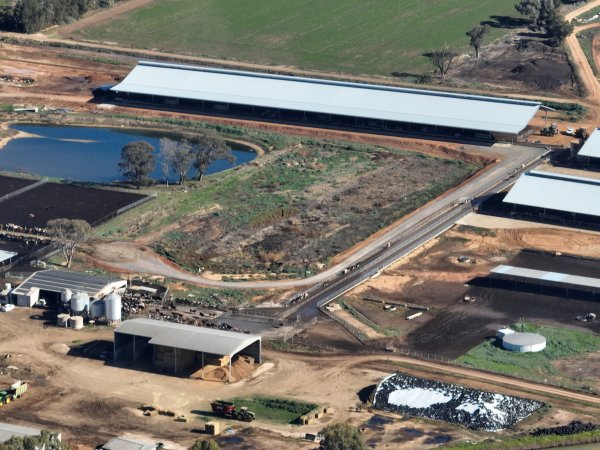 Drone - Dairy factory farm