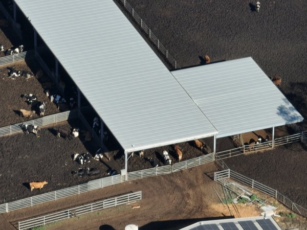 Drone - Dairy factory farm