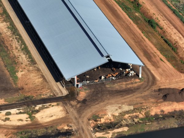 Drone - Dairy factory farm