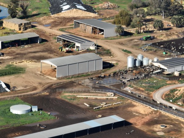 Drone - Dairy factory farm