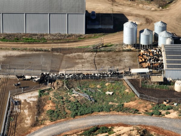Drone - Dairy factory farm