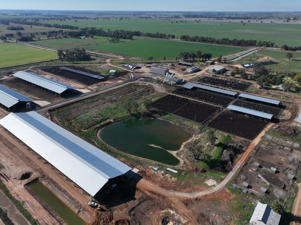 Drone - Dairy factory farm