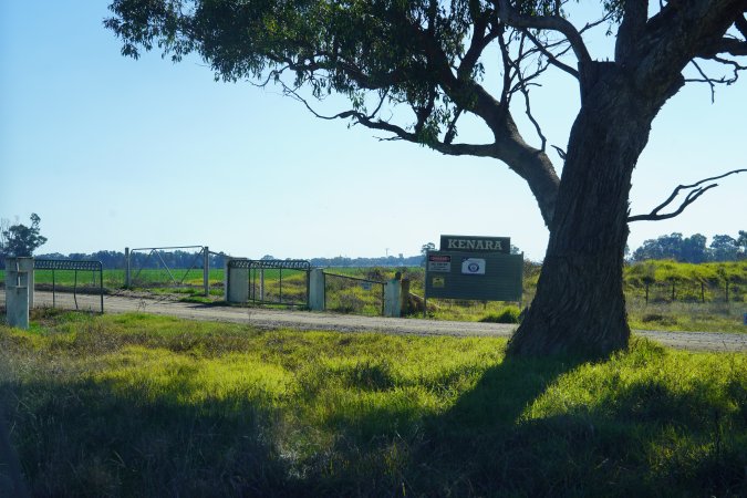Drone - Dairy factory farm