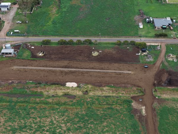 Drone flyover - Golderama Holsteins