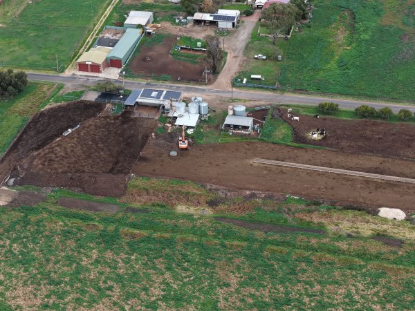 Drone flyover - Golderama Holsteins