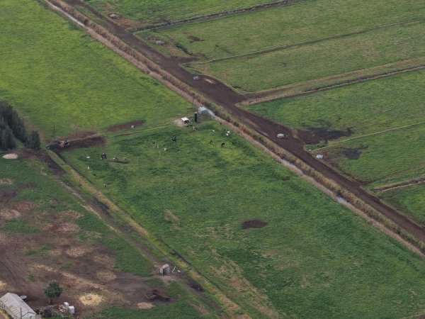 Drone flyover - Golderama Holsteins