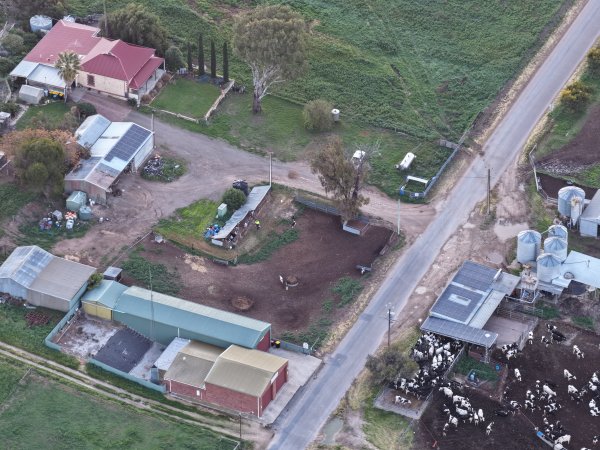 Drone flyover - Golderama Holsteins