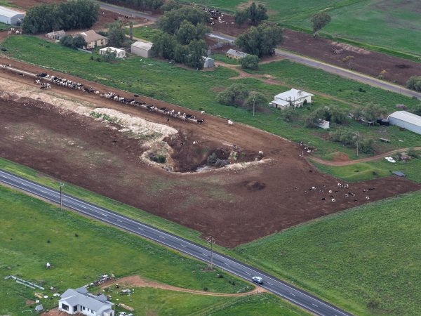 Tripe T Farms Drone flyover
