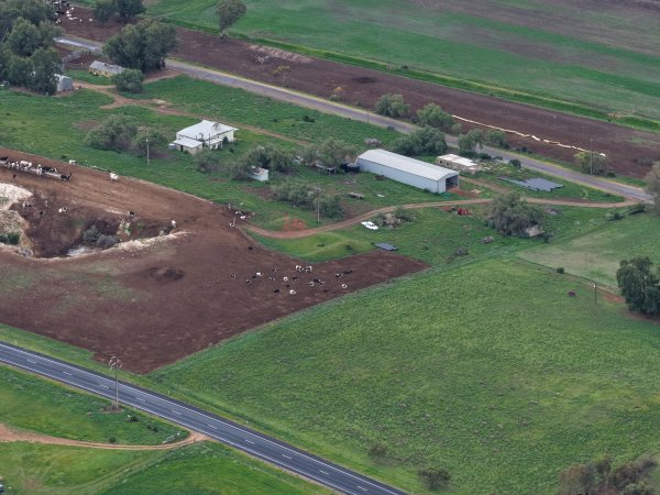 Tripe T Farms Drone flyover