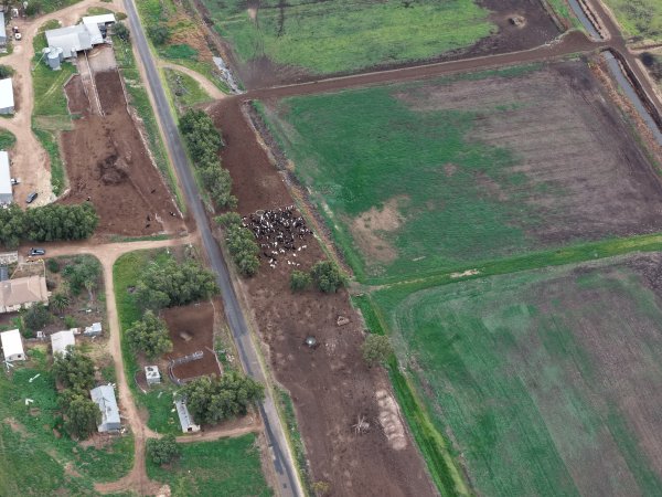 Tripe T Farms Drone flyover