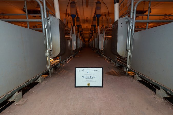 FTP Pig Industry Awards - 2025