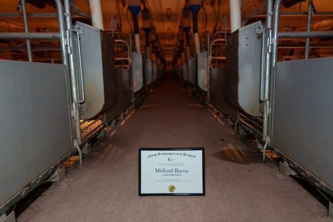 FTP Pig Industry Awards - 2025