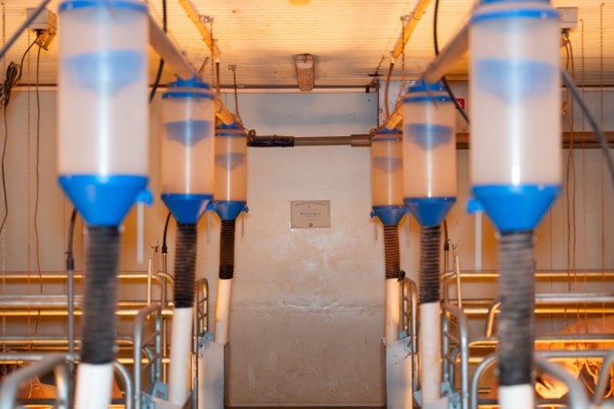 FTP Pig Industry Awards - 2025