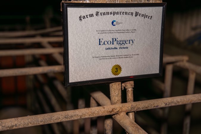 FTP Pig Industry Awards - 2025