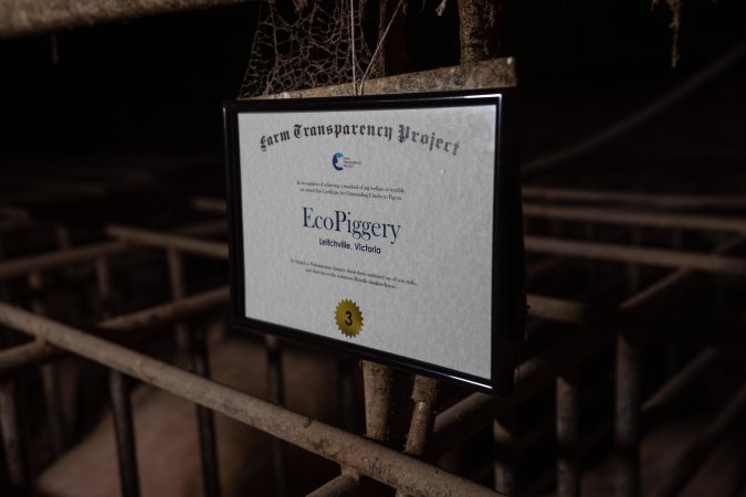 FTP Pig Industry Awards - 2025