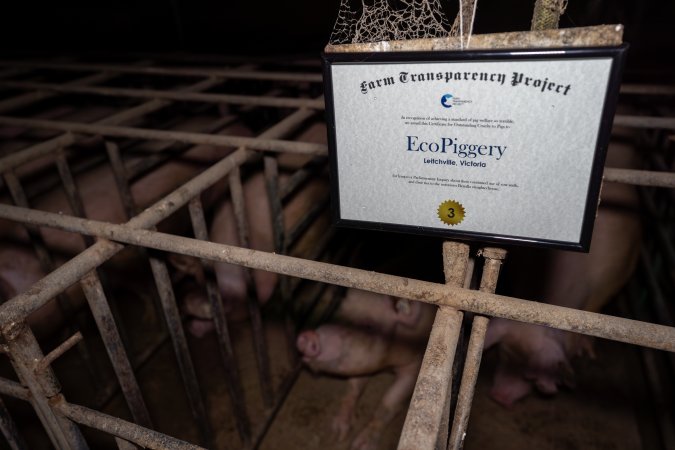 FTP Pig Industry Awards - 2025