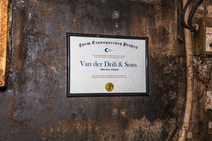 FTP Pig Industry Awards - 2025