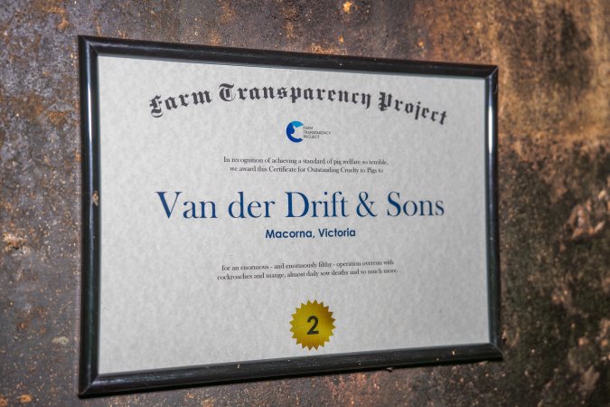 FTP Pig Industry Awards - 2025