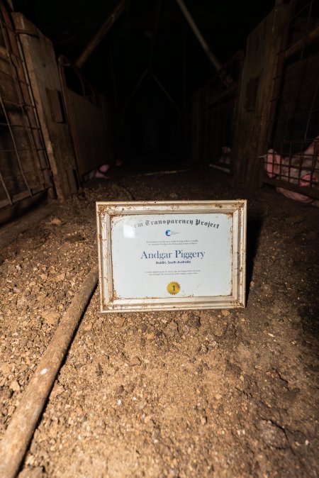 FTP Pig Industry Awards - 2025