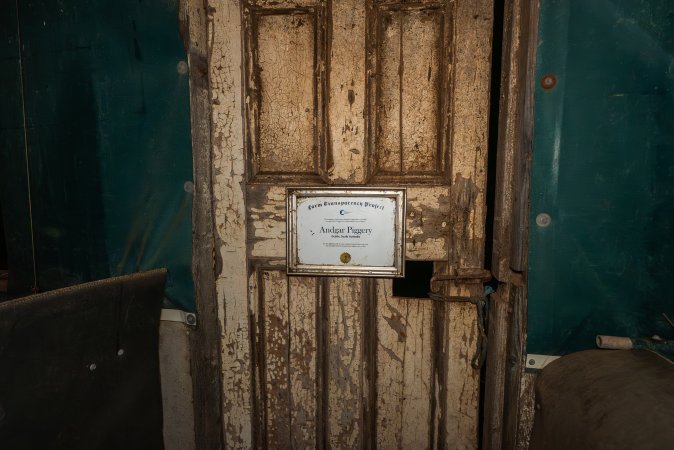 FTP Pig Industry Awards - 2025