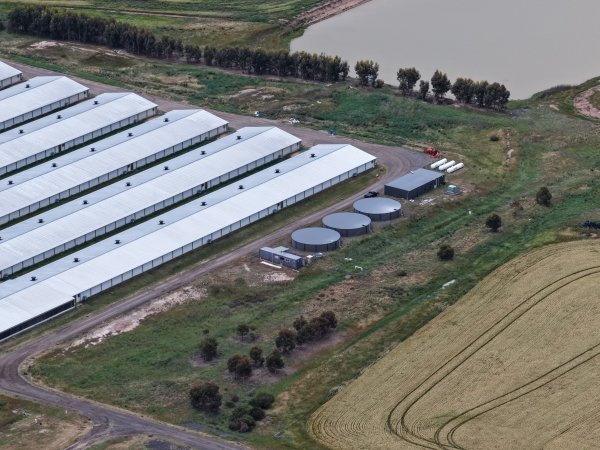 Drone flyover of broiler (meat) chicken farm