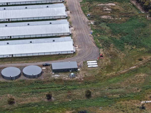 Drone flyover of broiler (meat) chicken farm