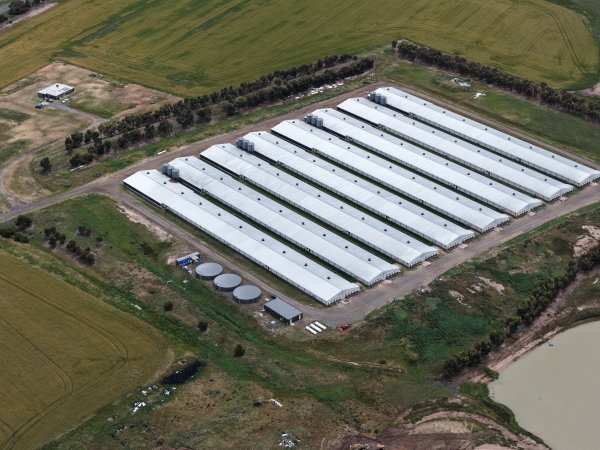 Drone flyover of broiler (meat) chicken farm