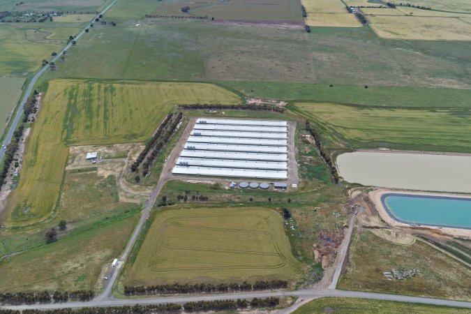 Drone flyover of broiler (meat) chicken farm