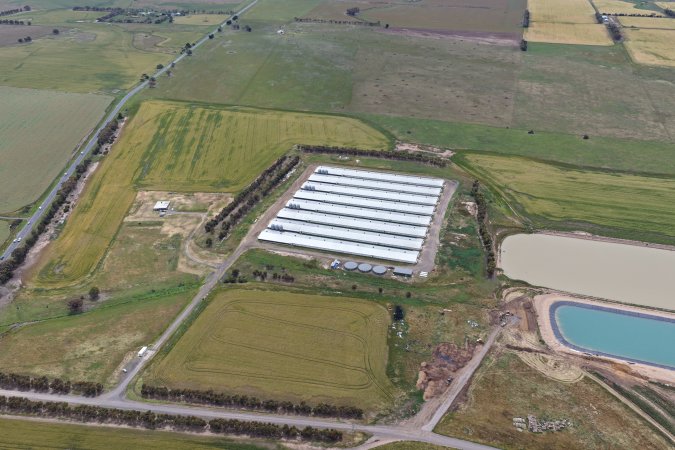 Drone flyover of broiler (meat) chicken farm