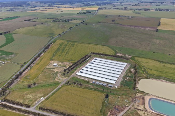 Drone flyover of broiler (meat) chicken farm