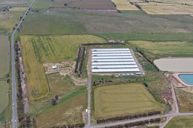 Drone flyover of broiler (meat) chicken farm