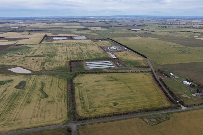 Drone flyover of broiler (meat) chicken farm