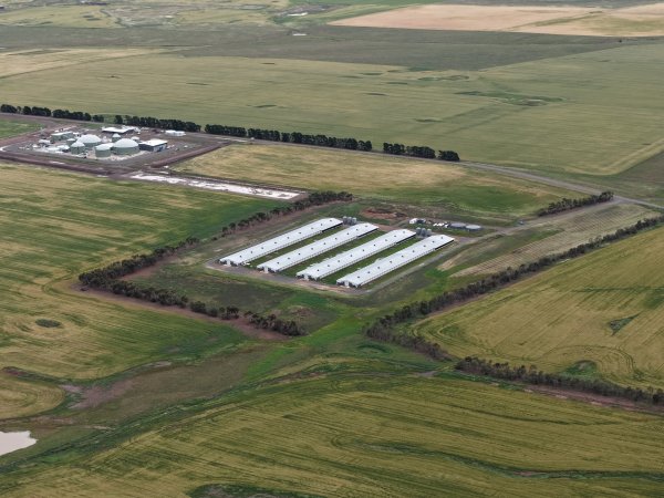 Drone flyover of broiler (meat) chicken farm