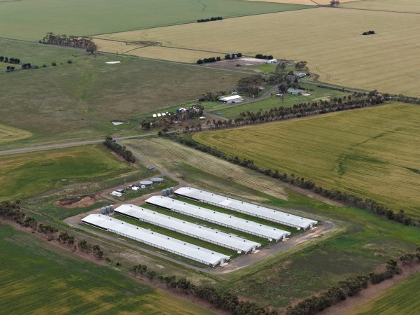 Drone flyover of broiler (meat) chicken farm
