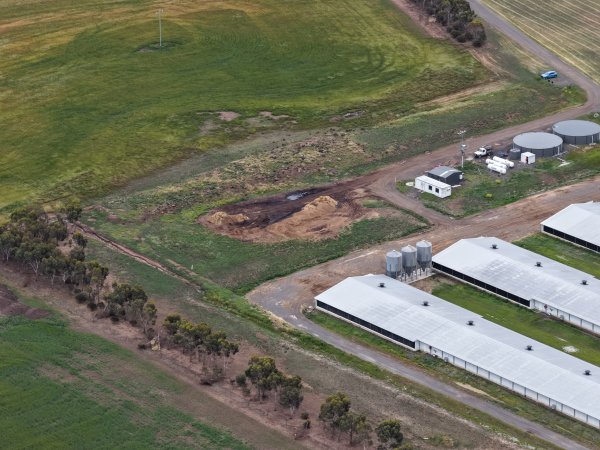 Drone flyover of broiler (meat) chicken farm