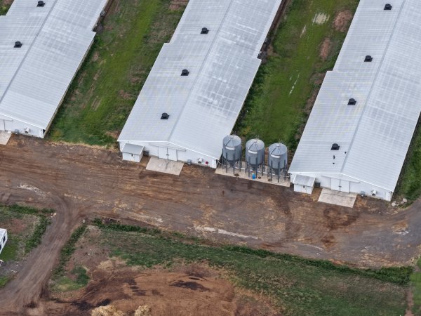 Drone flyover of broiler (meat) chicken farm