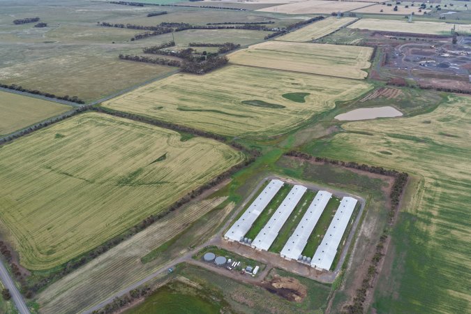 Drone flyover of broiler (meat) chicken farm