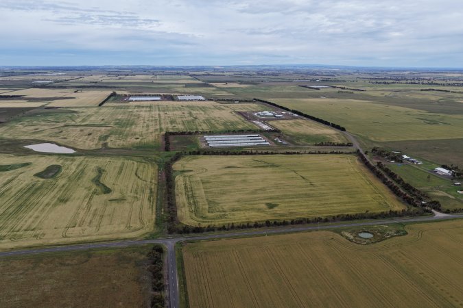 Drone flyover of broiler (meat) chicken farm