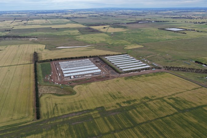 Drone flyover of broiler (meat) chicken farm