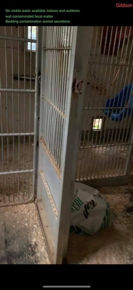 Dawn Animal Agency Evidence