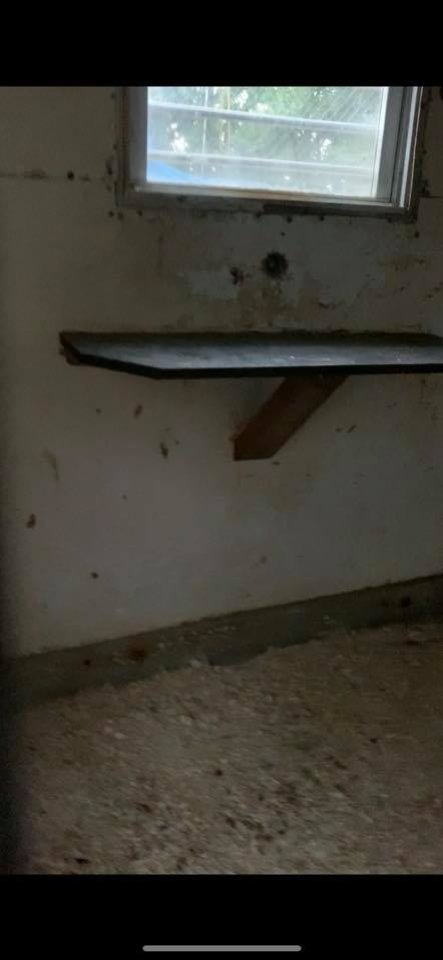 Dawn Animal Agency Evidence